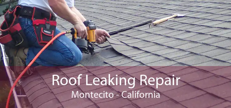 Roof Leaking Repair Montecito - California