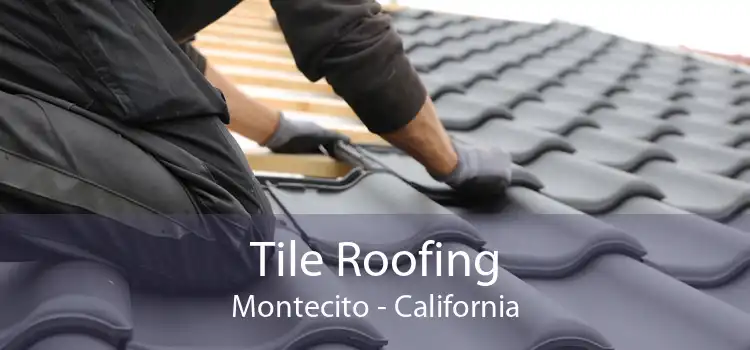 Tile Roofing Montecito - California